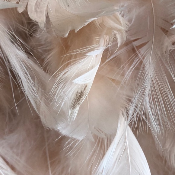 Marchesa Spring ‘16 Lace & Blush Feather Dress - Picture 15 of 16